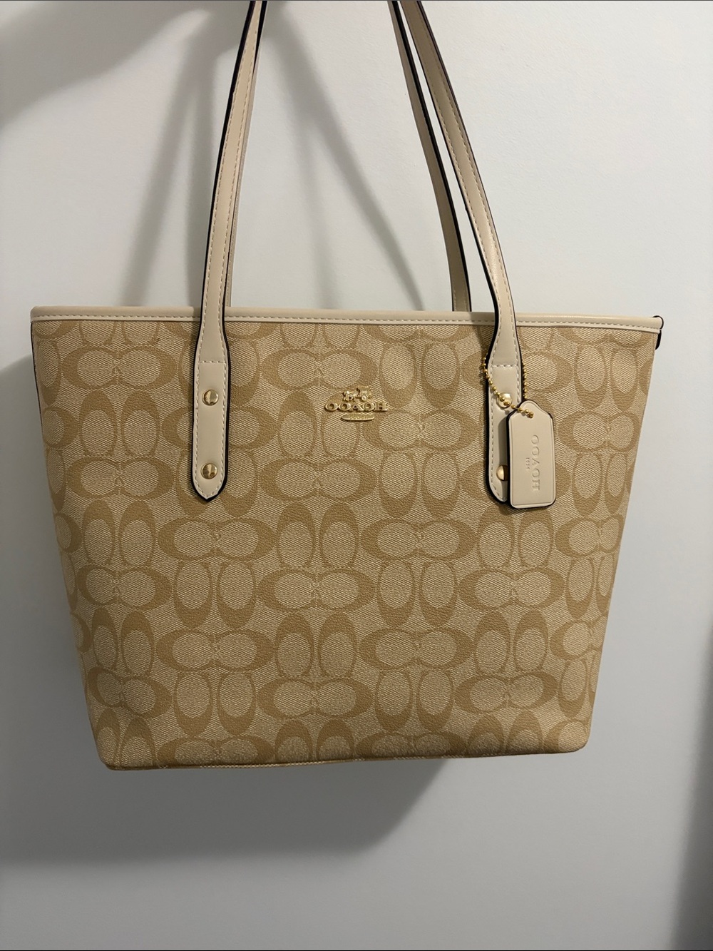 Canvas Tote Purse
